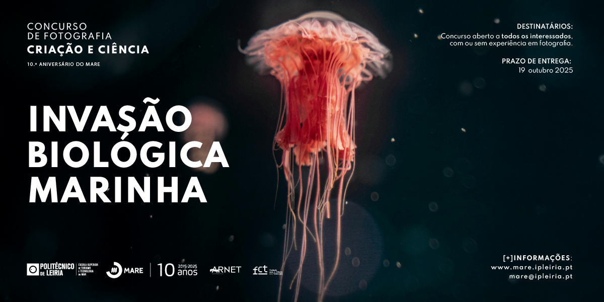 mare street nike outlet